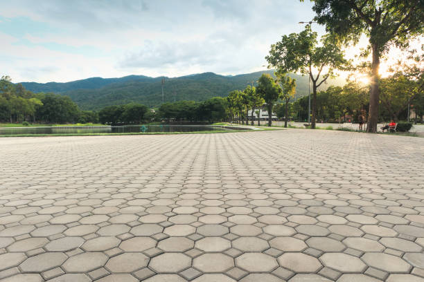 Best Permeable Paver Driveway  in Elwood, KS